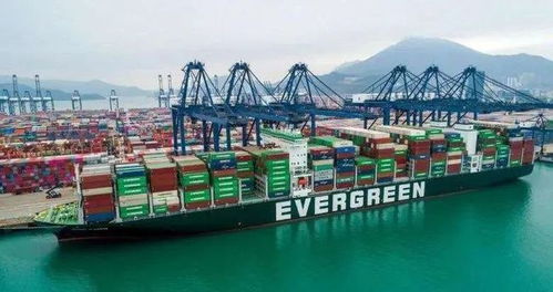 美團(tuán)進(jìn)軍公路貨運(yùn)市場，快遞企業(yè)雙十一戰(zhàn)報(bào)亮眼