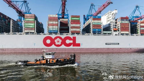 營收87.7億美元?jiǎng)?chuàng)紀(jì)錄 這家船司2025全年業(yè)績深度解析與國際船舶管理業(yè)務(wù)展望
